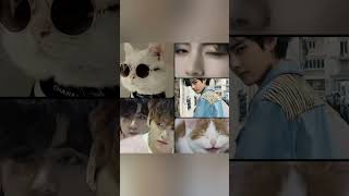 cat🐇 vs Kim teahyung 💜😍trending shortvideo    youtube fpy [upl. by Atteuqal381]