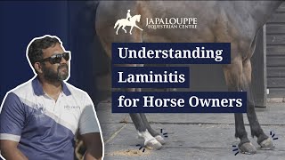 Understanding Laminitis for Horse Owners  What to expect and how to care for a laminitic case [upl. by Eidod336]