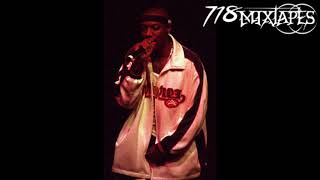 Inspectah Deck  Nasty Freestyle [upl. by Archie639]