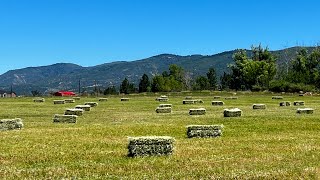 Baling Hay [upl. by Eilyak]