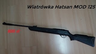 Wiatrówka Hatsan 125 za 800 zł [upl. by Nylirehs]