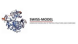 Homology modelling using SWISS MODEL web server [upl. by Perkoff]