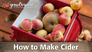 How to Make Your Own Organic Cider [upl. by Aettam]