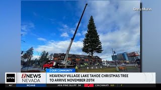 Heavenly Village Lake Tahoe Christmas tree arriving this month [upl. by Inohs]