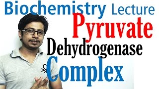 Pyruvate dehydrogenase complex [upl. by Nomrah]