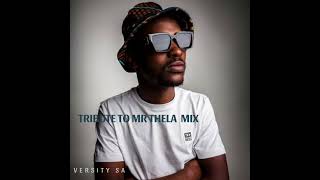 Tribute To Mr Thela Mix  Versity SA [upl. by Rudolfo]