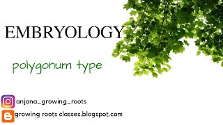 EMBRYOLOGY  Polygonum Type Embryosac Development Mayalam Explanation  BSc Botany [upl. by Nima]