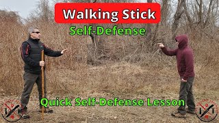 How To Use a Walking Stick for SelfDefense [upl. by Rus433]