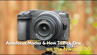 Mastering Autofocus A Guide to Choosing the Right Mode for Every Shot  Nikon Z 30 [upl. by Gingras]