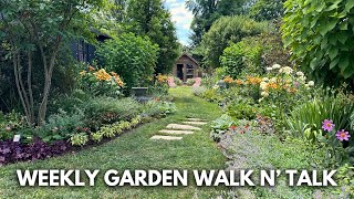 July Garden Tour  Lilies in Pots Potager Garden Edible Groundcovers Hot Color Landscape [upl. by Petty155]