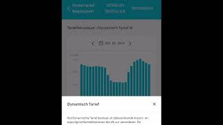 Enphase Zonnepanelen uitschakelen bij negatieve stroomprijs [upl. by Wiersma]