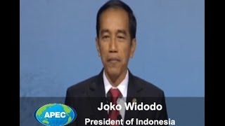 Joko Widodo President of Indonesia at the APEC CEO Summit [upl. by Analla]