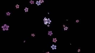 flower overlay  overlays for edits [upl. by Akinal]