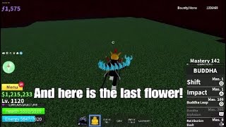 All of the flower locations for v2 Blox Fruits [upl. by Latea]