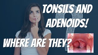 WHERE ARE THE TONSILS AND ADENOIDS [upl. by Debbie]