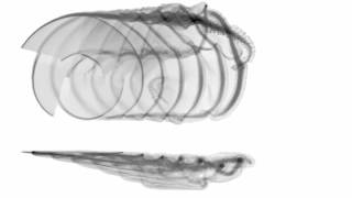 Vortex Particle Simulation of A 4Bladed Rotor In Forward Flight [upl. by Bettina]