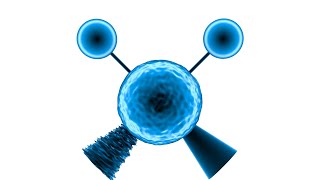 Symmetric Stretching in Infrared Spectroscopy Animation [upl. by Kirt283]