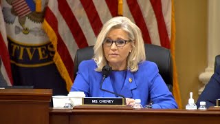 Liz Cheney’s TrumpBacked Opponent Leads Polls in Primary [upl. by Faxen72]