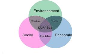 G1 Les enjeux du développement durable [upl. by Eisset561]