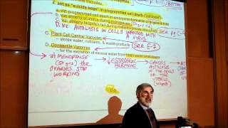 BIOLOGY CYTOLOGY PART 3 by Professor Fink [upl. by Koralle]