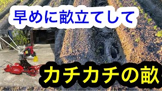 畝を定植（種まき）できるようにする作業。2024年7月21日 [upl. by Schonfield]