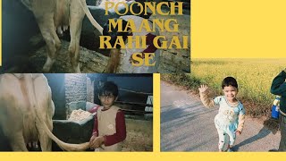 poonch maang rahi gai se [upl. by Bellanca]