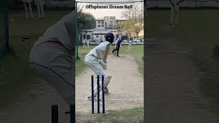 Off spinner what a Ball cricket [upl. by Haorbed]