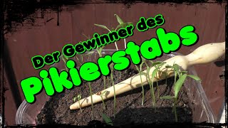 💚Der Gewinner des Pikierstabs📢 [upl. by Onafets187]