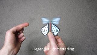 Fliegenden Schmetterling basteln [upl. by Swiercz]