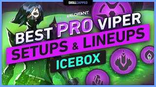 Best PRO Viper SETUPS amp LINEUPS on ICEBOX Walls Snake Bite Poison Cloud Ultimate [upl. by Phyllida]