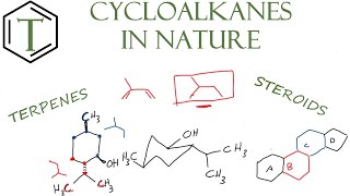 Cycloalkanes in Nature  Organic Chemistry Lessons [upl. by Franek66]