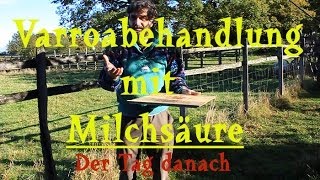 Varroabehandlung mit Milchsäure Der Tag danach [upl. by Hallette937]