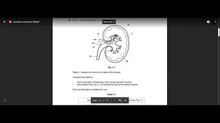 BIOLOGY IGCSE 0610 TOPICAL PAST PAPER structured DISCUSSION EXCRETORY SYSTEM  02 [upl. by Werna]