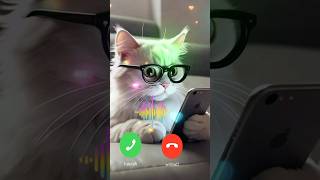 Iphone mobile ringtone sounds 🔥🔥 stylist cat shorts ringtone call [upl. by Shotton]