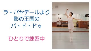 ラ・バヤデールより影の王国のパ・ド・ドゥ ひとりで練習中 ballet labayadère [upl. by Letnom]