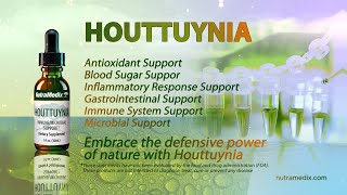 HOUTTUYNIA [upl. by Ial]