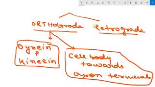 AXONAL TRANSPORT  ORTHOGRADE AND RETROGADE TRANSPORT [upl. by Ennayram]