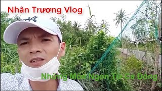 Nhân Trương Vlog  Những Món Ngon Từ Cá Đồng [upl. by Garfinkel228]