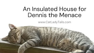 Setting Up an Insulated Cat House for Dennis the Menace  catladytails [upl. by Yrad]