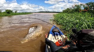 NEM ASSISTINDO A GENTE ACREDITA NA ISCA VIVA ELES PEGAVAM EMBAIXO DAS PLANTAS Pesca [upl. by Ahsinehs]