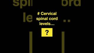 Testing Spinal cord and Nerves Shorts Part A [upl. by Adnoryt51]