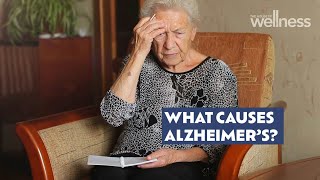 Can Alzheimer’s Disease be prevented [upl. by Brooke]