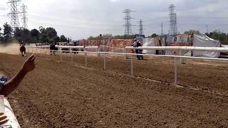 Pico Rivera Sports Arenahorse races [upl. by Stanfield288]