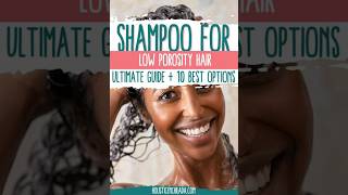 Best Shampoo for Low Porosity Hair 2024 lowporosity [upl. by Huai800]