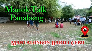 Manok Panabong sa Mantalongon  Cebu  Silip Tayo [upl. by Jepum]