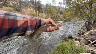 Kern River  Golden Trout Wilderness [upl. by Sesylu283]