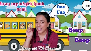 Learn Songs colors count and more in English Spanish and ASL with Ms Alejandra [upl. by Nahtannhoj]