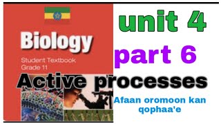 biology grade 11 unit 4 active processes Afaan oromoon kan qophaae part 6 [upl. by Vachel]