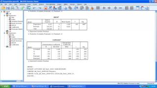 Heteroskedasticity LM Test SPSS [upl. by Nalak790]