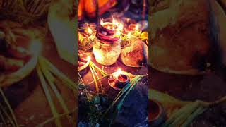 CHHAT PUJA COMING SOON 2024 chhathpujashortstatus trendingshorts [upl. by Eelaroc434]